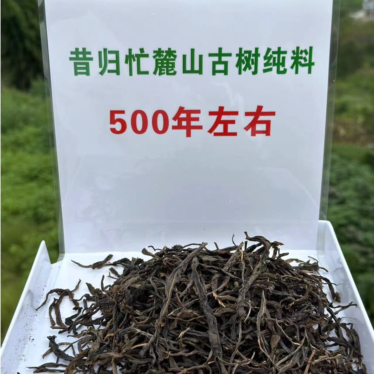 【忙麓山500年挑采古树单株】25年头春头采 散茶 （普洱生茶）