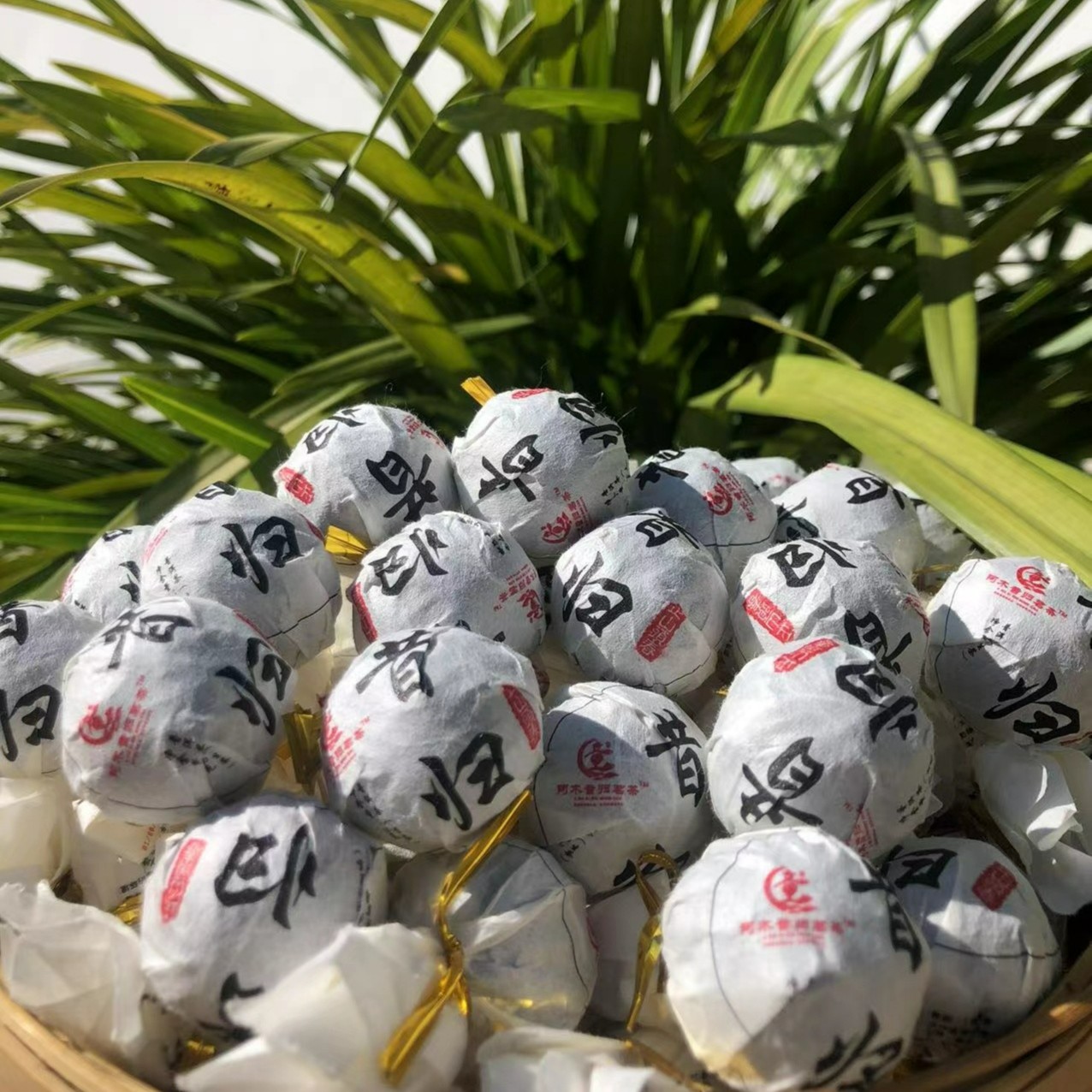 组合龙珠8克（生茶）