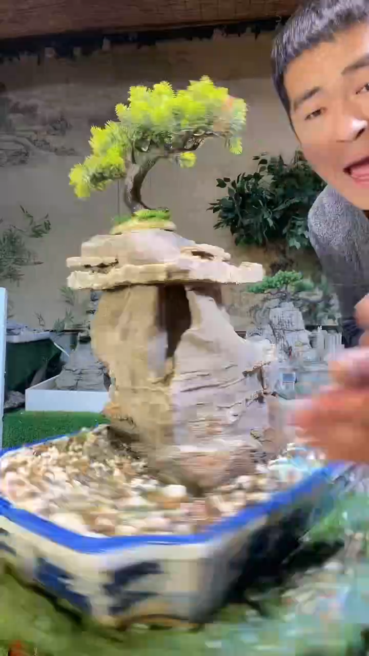 【闪购商品】微景观天然奇石