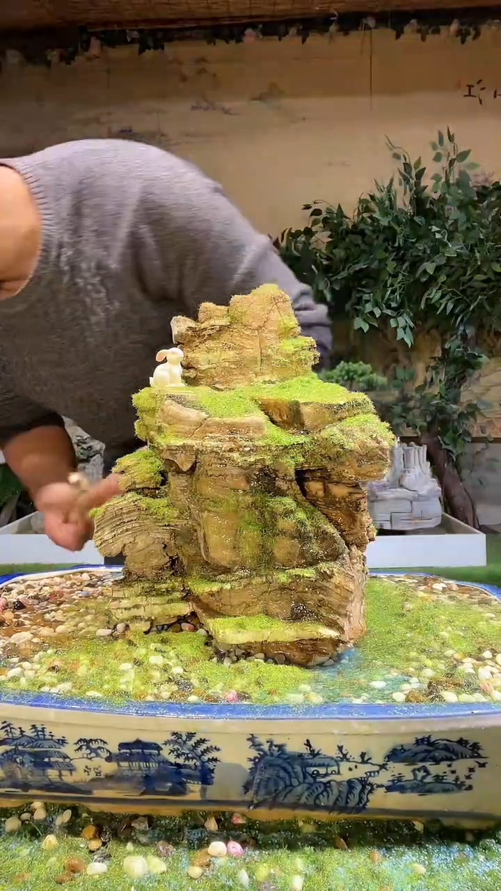 【闪购商品】微景观天然奇石