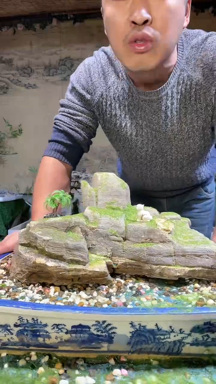 【闪购商品】微景观天然奇石