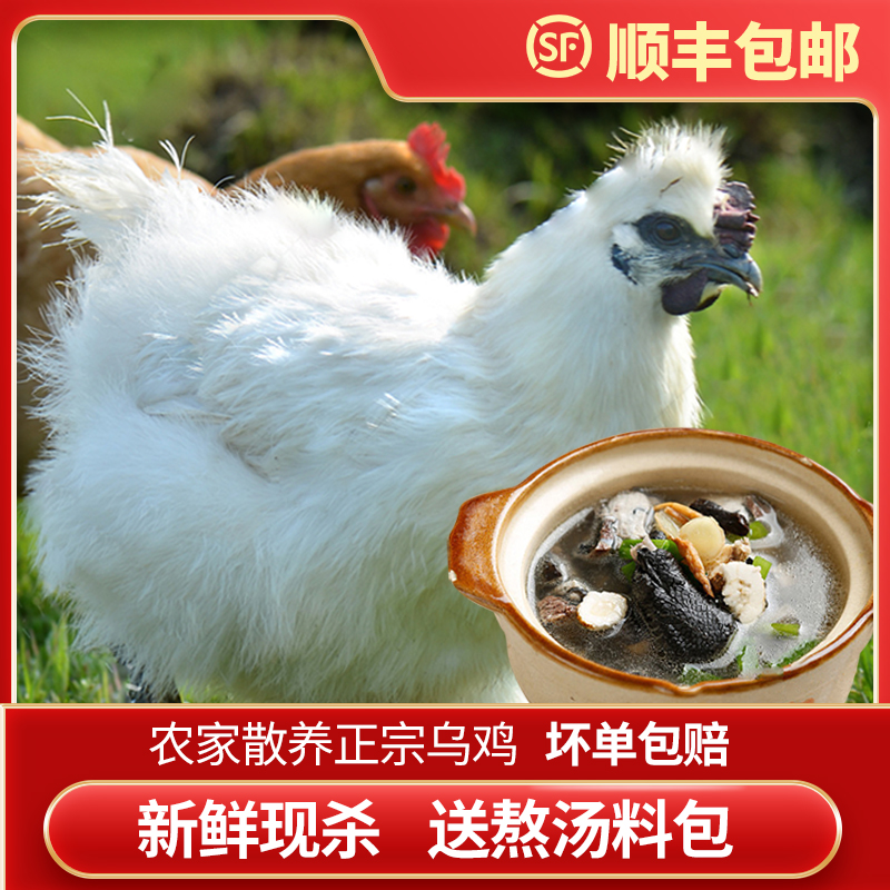 【买2只送2只】乌鸡 4只7.5斤-8斤 农家散养新鲜现杀 顺丰包邮