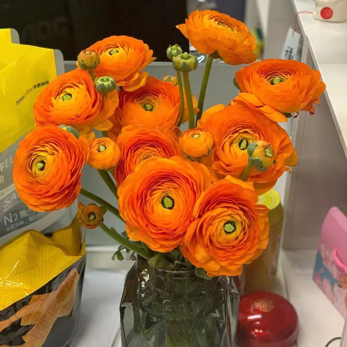 洋牡丹水养鲜切花云南昆明基地直发同城速递百合花束节日家庭插花