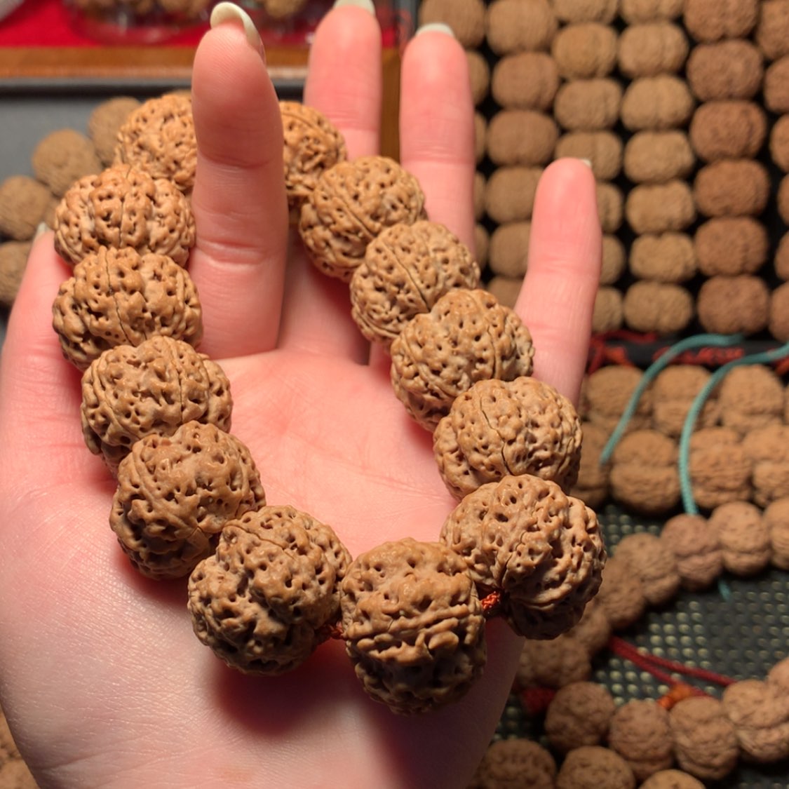 【闪购商品】金刚菩提手串24五星双龙
