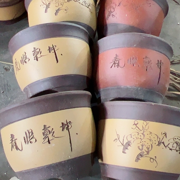 紫砂20CM以下100-6