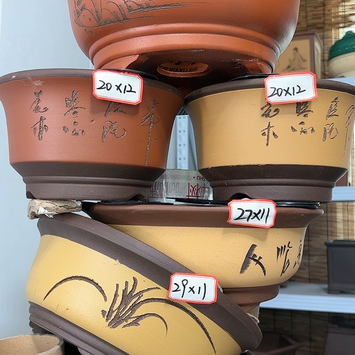 紫砂20CM以下100-6