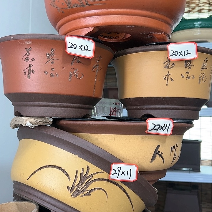 紫砂20CM以下100-6
