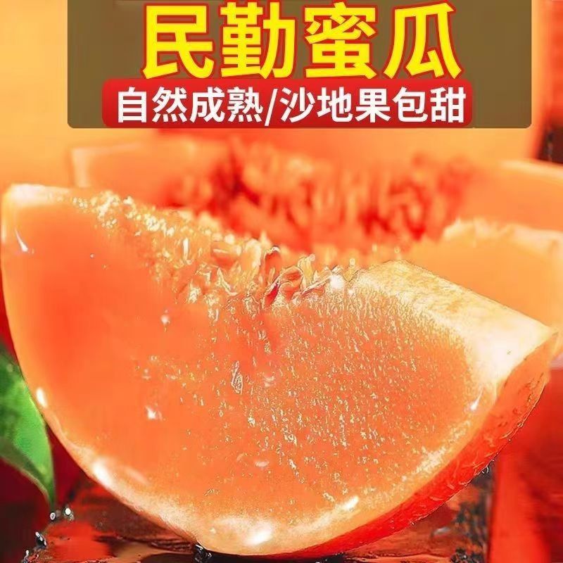 【坏果包赔】正宗甘肃民勤蜜瓜5-6斤