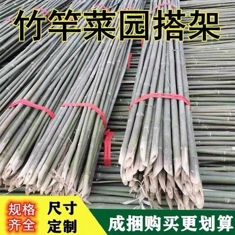 菜园搭架竹竿豆角黄瓜爬藤架篱笆围栏旗杆竹竿瓜果爬藤支架小竹子