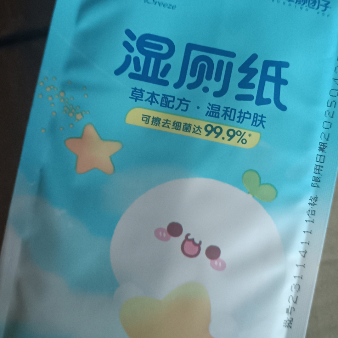 湿厕纸           