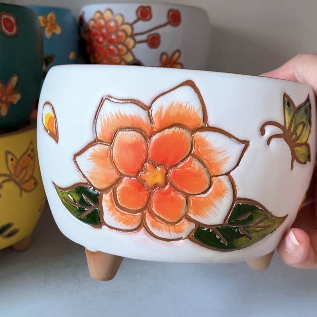 红陶满18包邮满18包邮