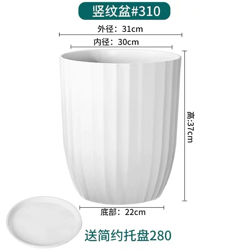 大号室内客厅简约塑料花盆轻奢高级感天堂鸟盆栽全内幕都可以高级