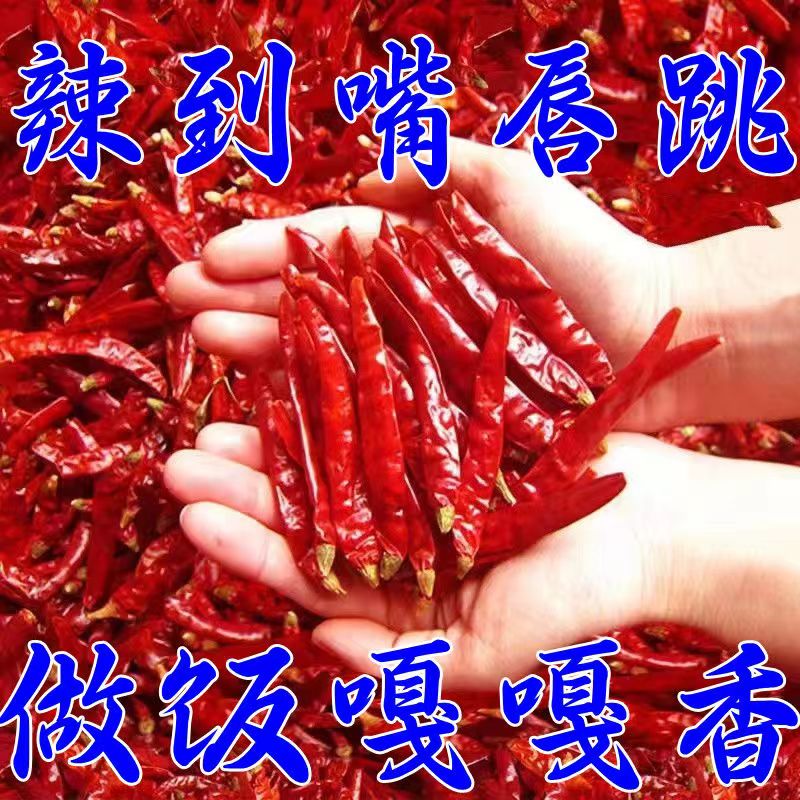 香干辣椒(精品)半斤1斤红辣椒农家辣椒小米辣爆辣魔鬼辣椒批发