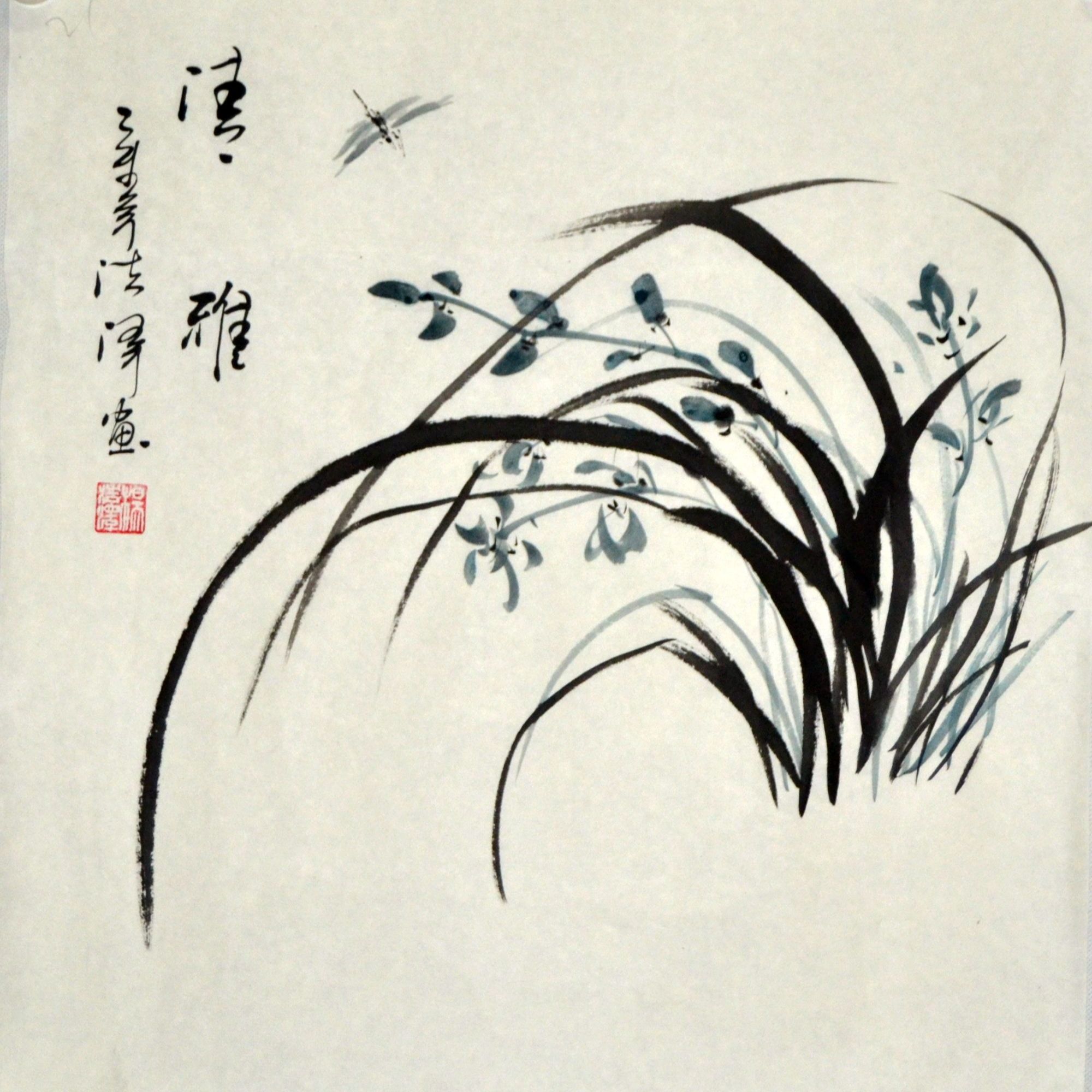 红宇兰园精品兰花
