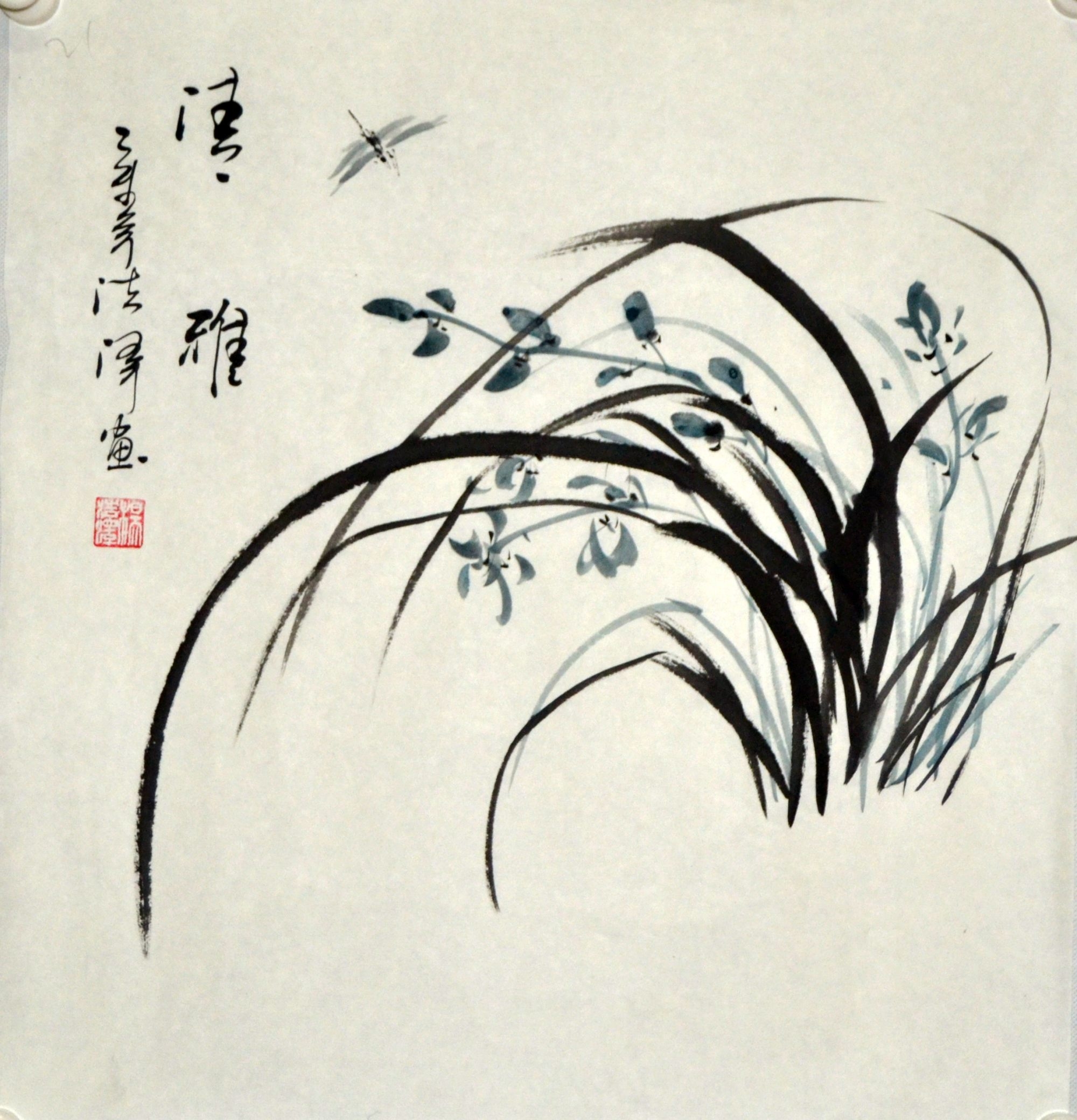 红宇兰园精品兰花