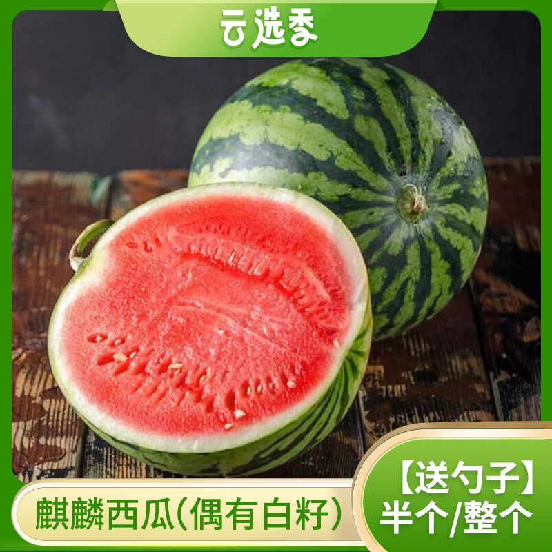 【云选好物 麒麟西瓜】麒麟西瓜肉质紧实 脆甜多 偶有白籽