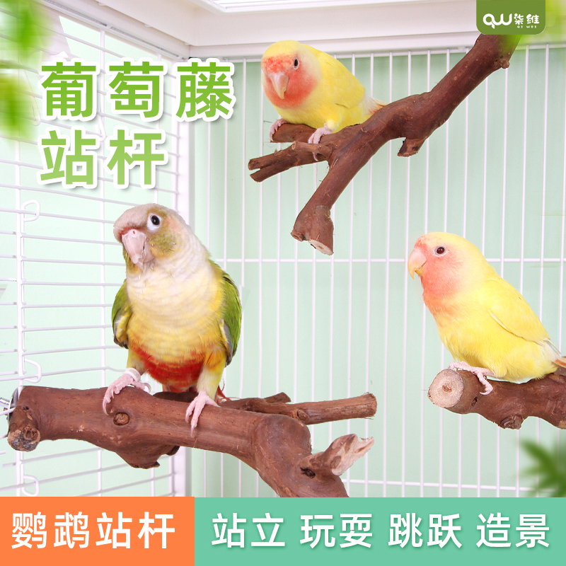 鹦鹉葡萄藤站杆玄风牡丹虎皮小太阳和尚玩具秋千睡觉棍磨嘴栖息