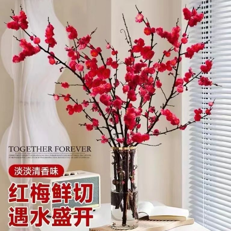 【遇水开花】新年高档客厅梅花枝遇水开花冬季室内水培鲜切红梅