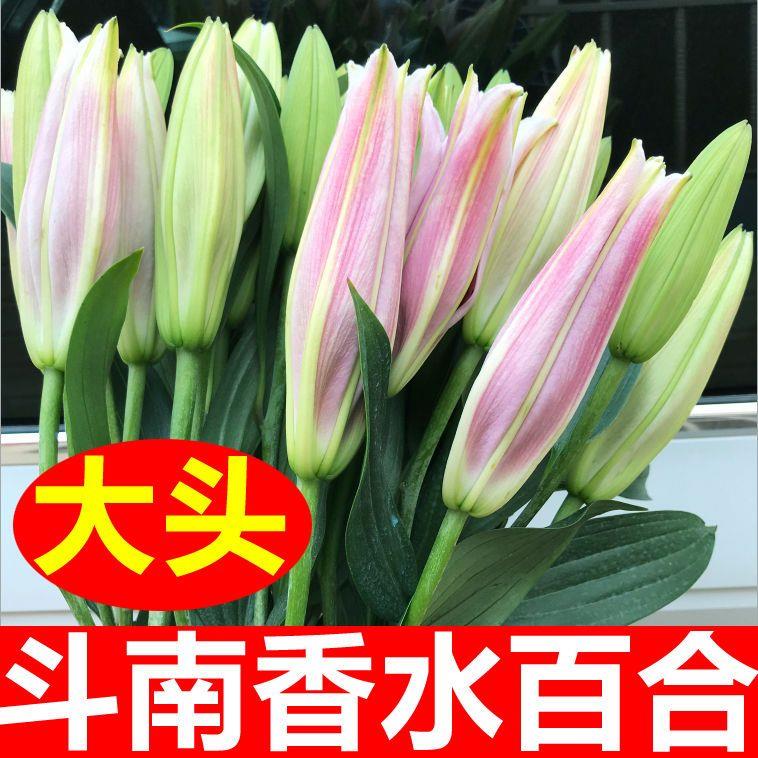 云南昆地直发真花水养鲜花花束香水百合批发速递同城家用配送