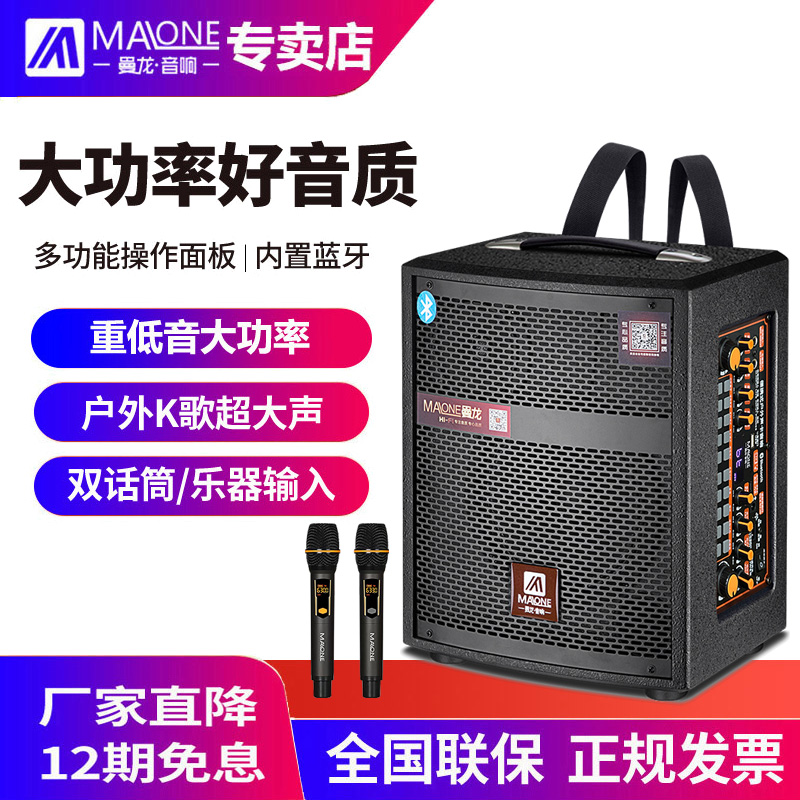 曼龙户外音响唱歌乐队吉他电子琴网红蓝牙输入演出背带广场舞音箱