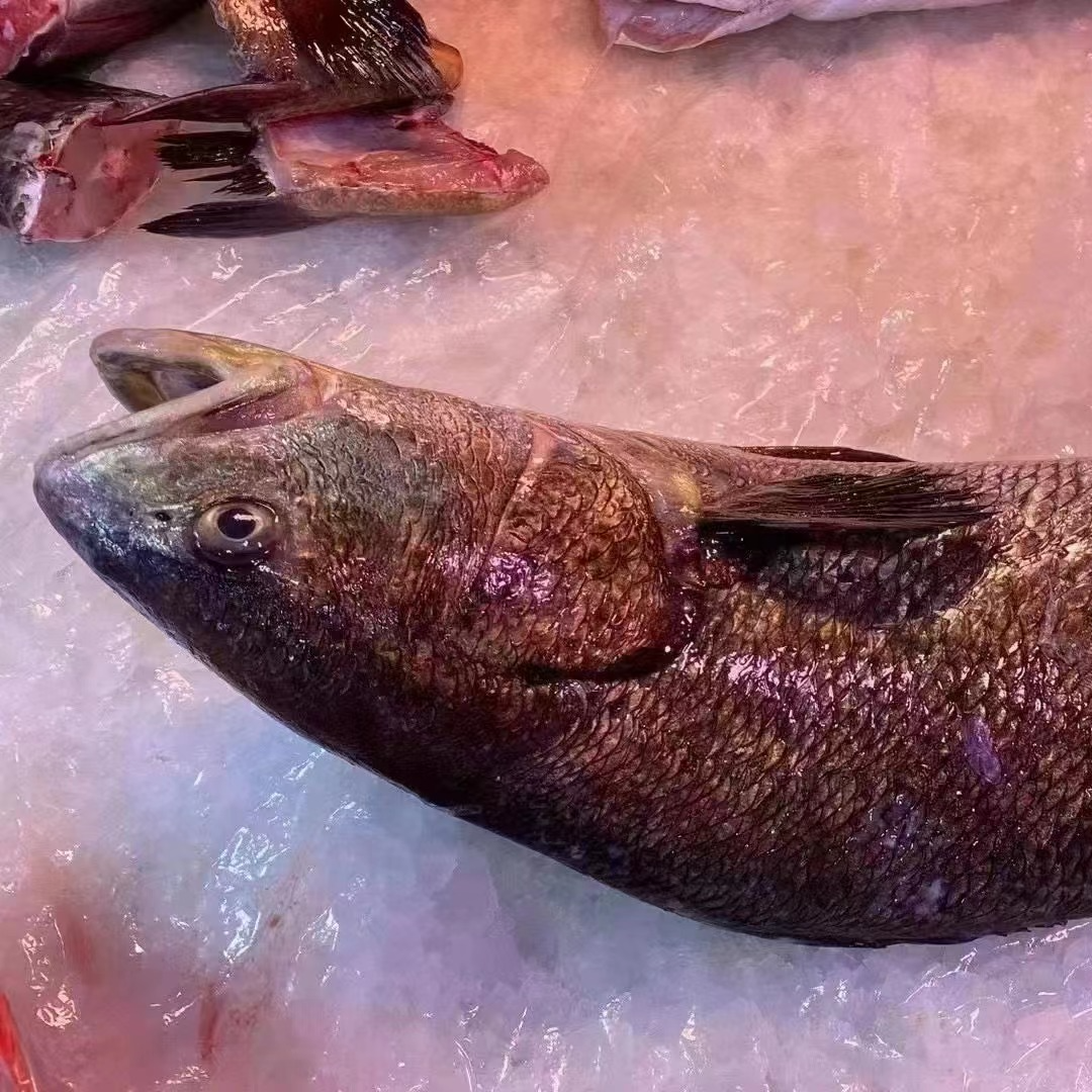 广东汕头南澳岛可油炸油浸赤嘴鳘鱼咸鱼肉（买三斤送一斤鱼骨）