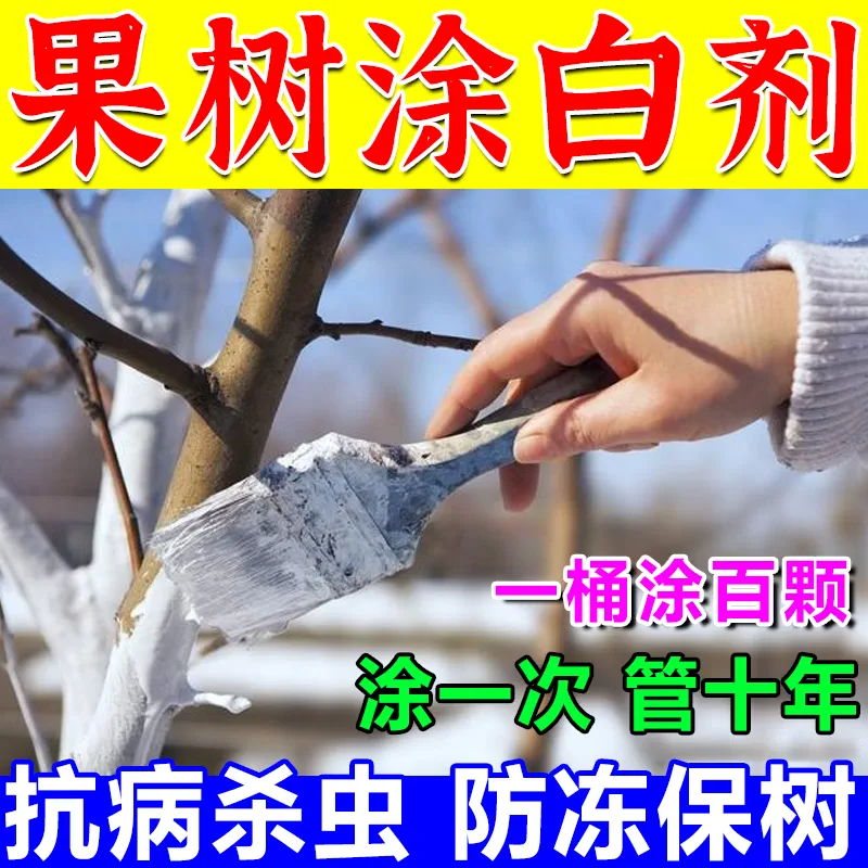 树木涂白剂果树越冬防冻防晒防虫市政园林专用大树刷白粉剂可喷涂