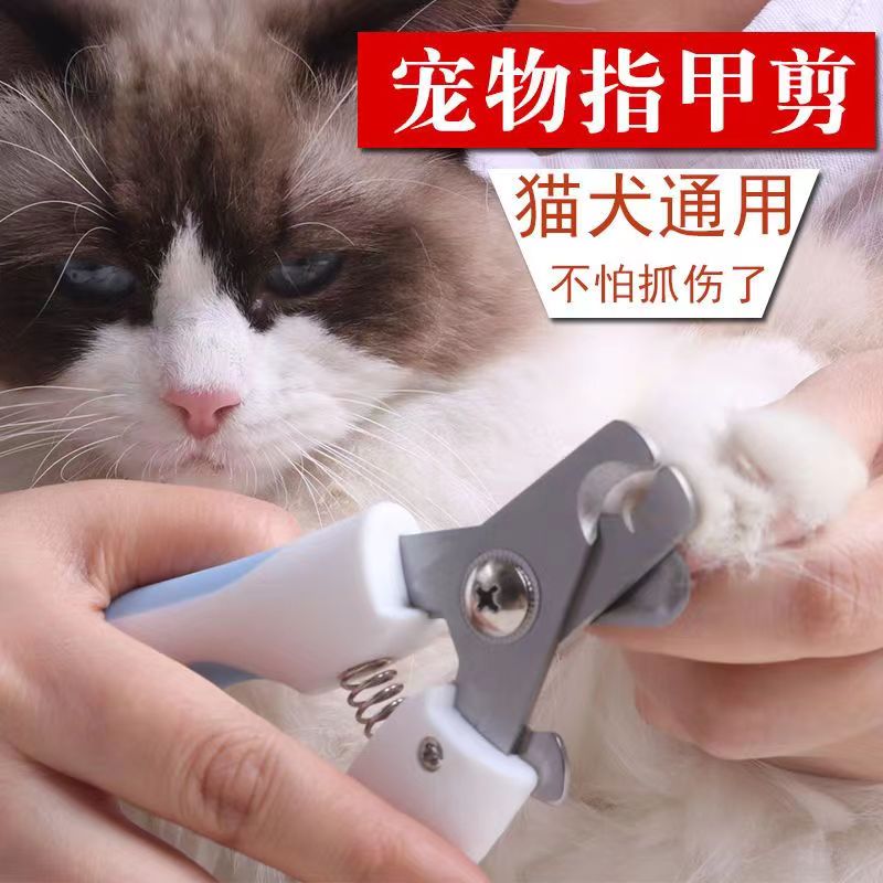 猫咪指甲剪专用新手血线宠物狗狗兔子幼猫剪指甲钳剪刀用品喵咪