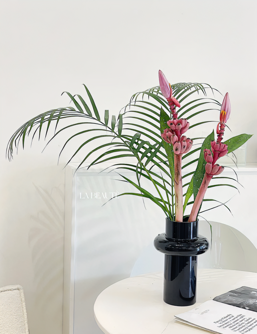 梦幻蕉丨粉色梦幻蕉  高颜值热带花材