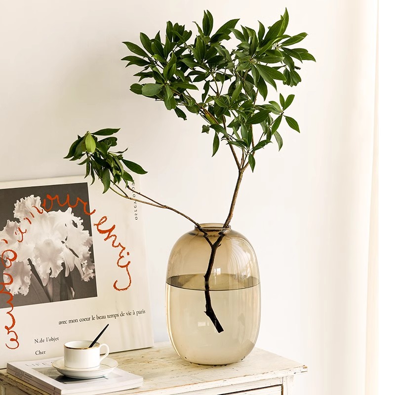 高级感花瓶摆件玻璃水培吊钟雪柳马醉木水养插花鲜花客厅落地装饰