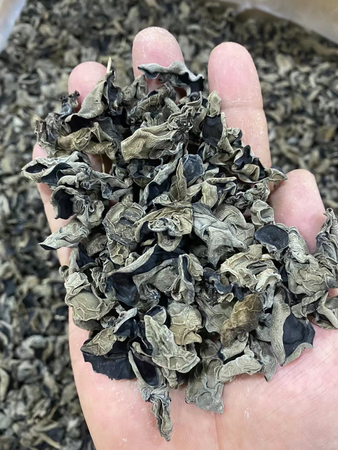 黑木耳  小朵木耳  云南高山小木耳