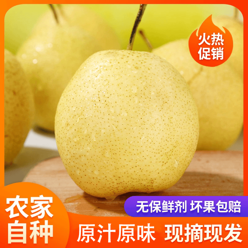 【实惠雪花梨】贡梨新鲜水果山西香甜爽口多汁皮薄制作烤梨冻梨