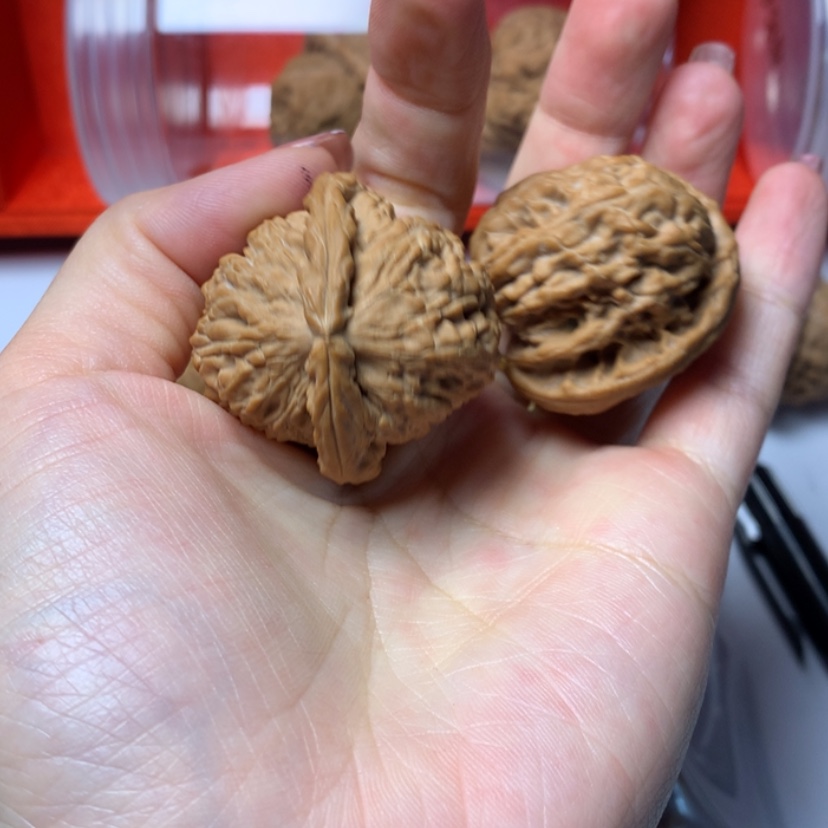 【闪购商品】文玩核桃吊坠