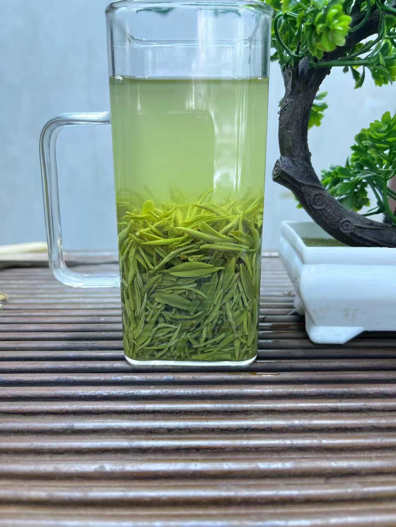 信阳毛尖2025年绿茶[A2]新茶明前手工中芽 回甘香 简装