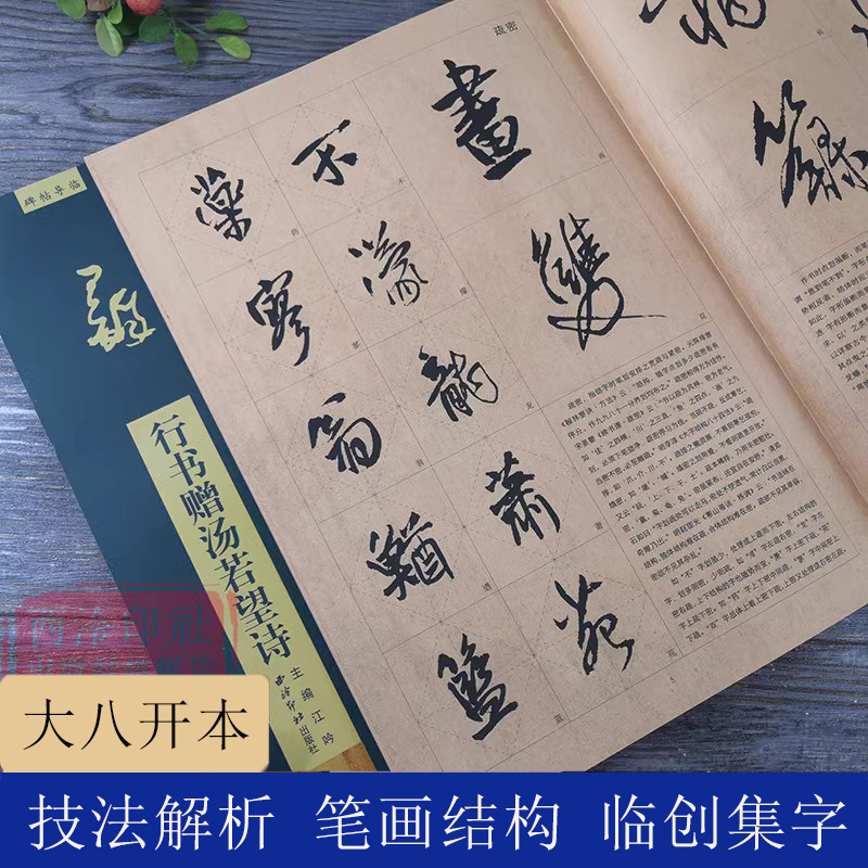 （18号组合白云大楷＋中楷＋小楷）王铎行书赠汤若望诗 碑帖导临 行书