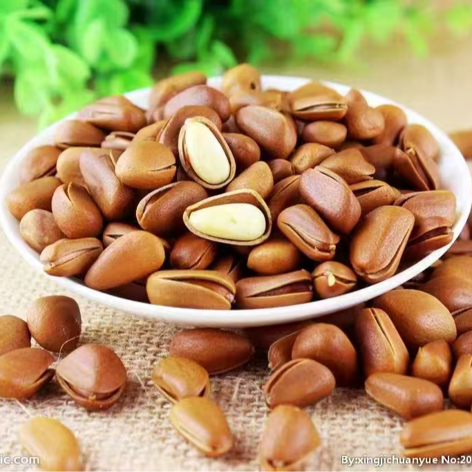 东北开口油松子500g*2罐（共2斤）