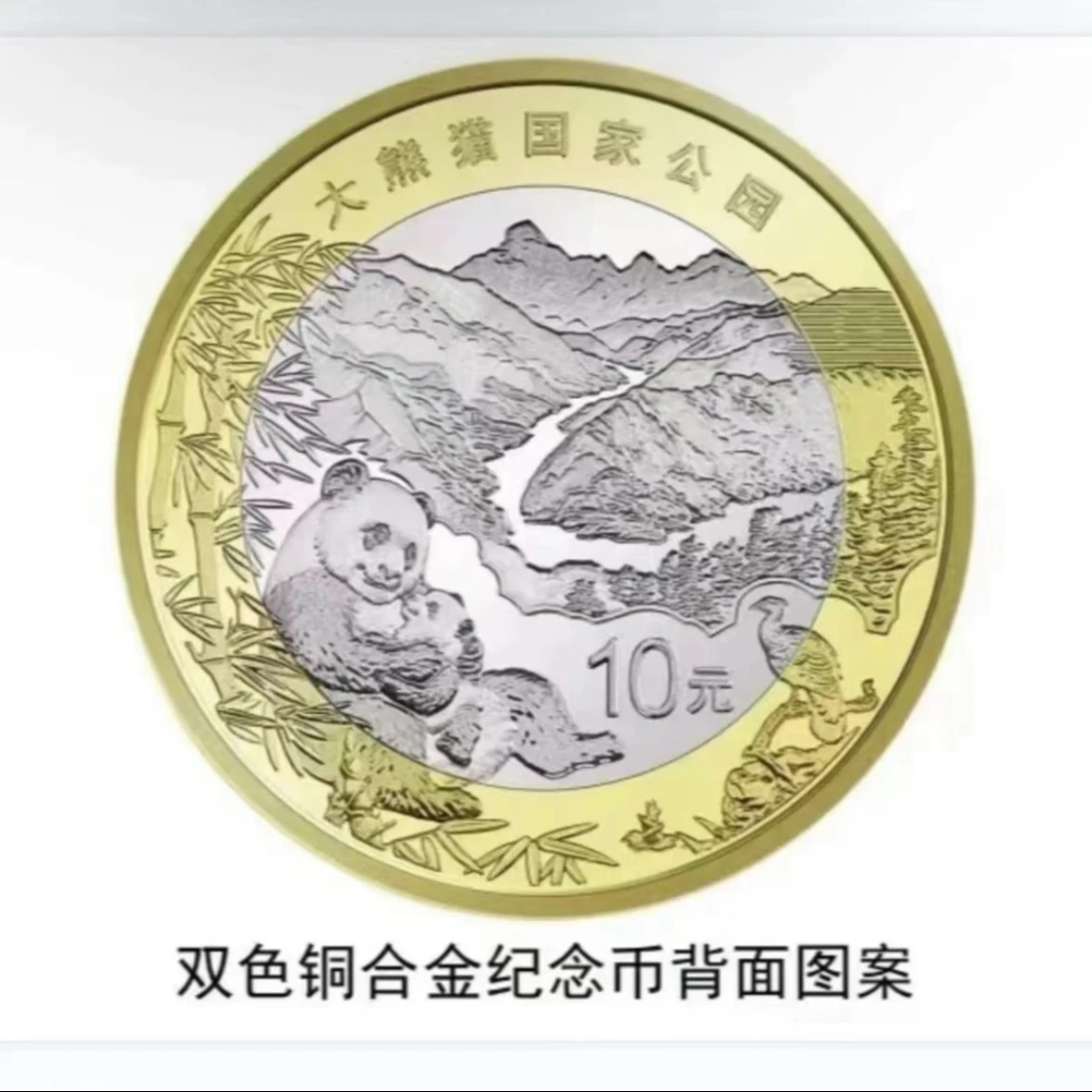 法定货币大熊猫国家公园纪念币单枚-评级版