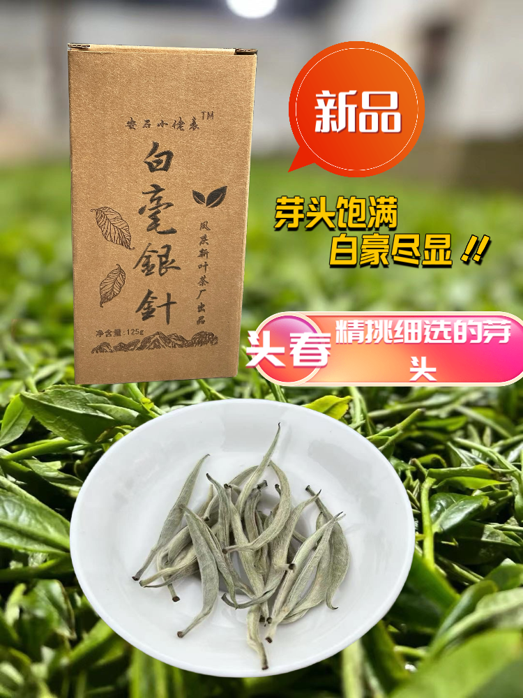 云南白毫银针 2024年头春头采