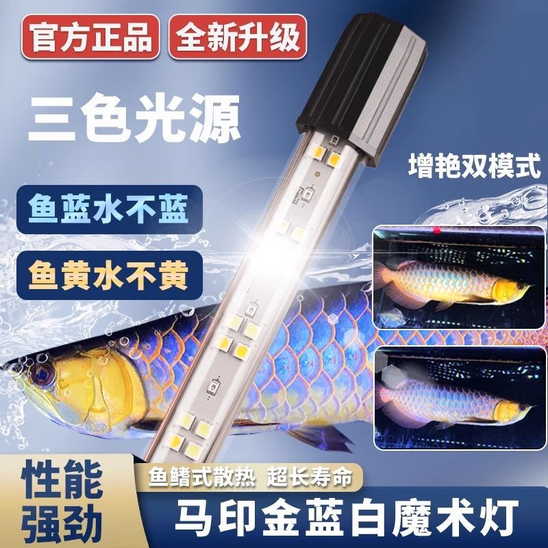 马印神灯雷龙古典金龙专用灯金蓝白灯水族专用灯鱼缸灯防水魔术灯