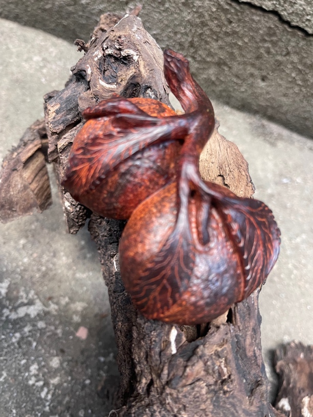 印度小叶紫檀桔子手把件