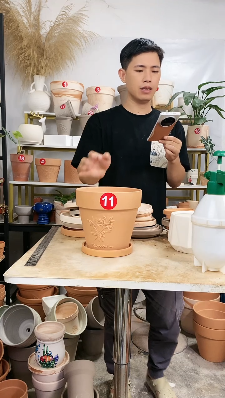 【闪购商品】红陶20CM以下20*19红陶国际香草 1盆1托
