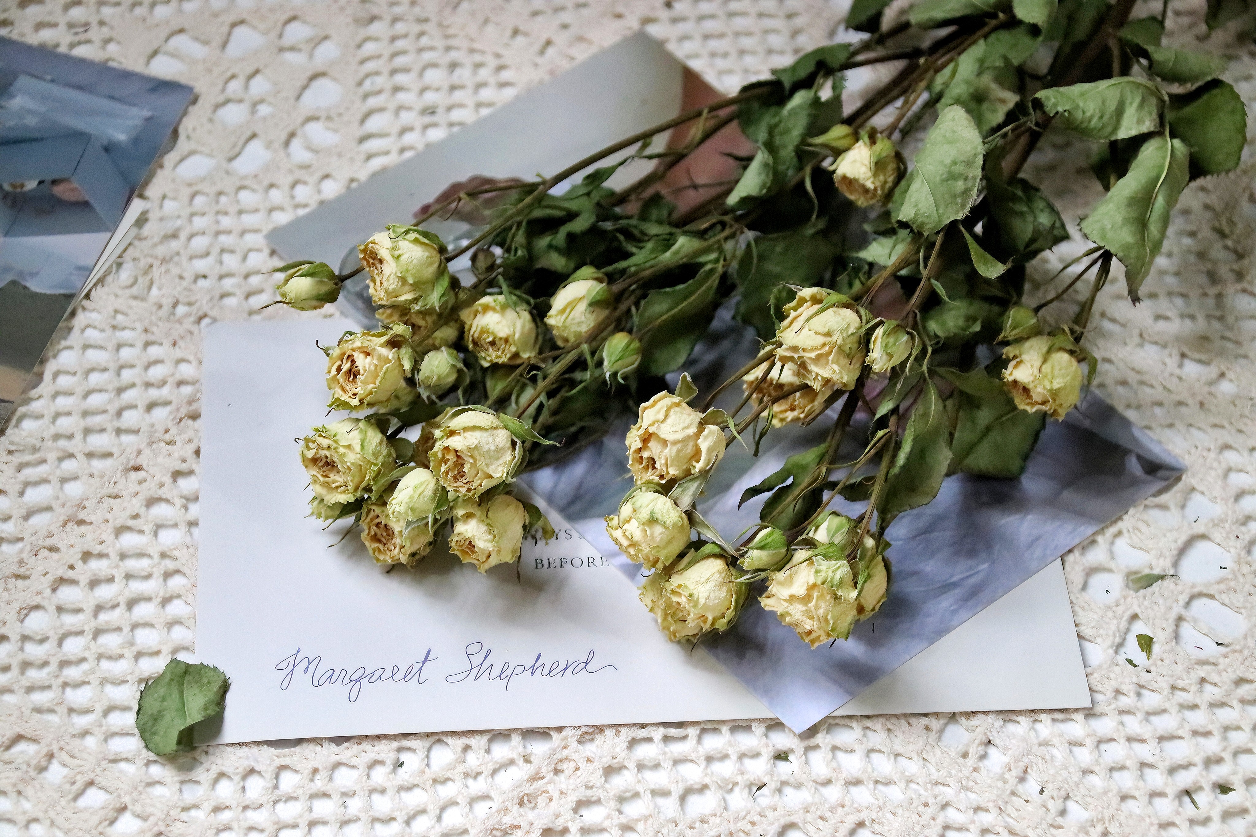 【ZHIHUANIAN】繁星多头玫瑰 素雅高级 清新文艺拍照装饰 ins 优雅