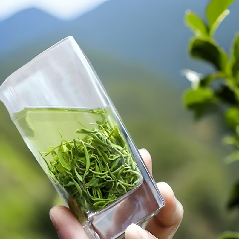 【荒野茶】一芽两叶高山茶2025新茶狗牯脑秋茶浓香耐泡板栗香罐装