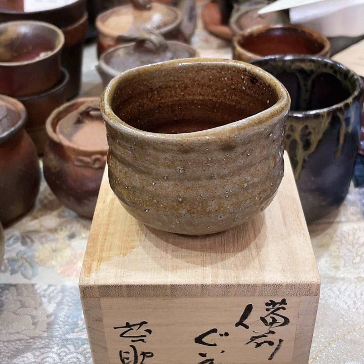 【闪购商品】苔助虎**躯