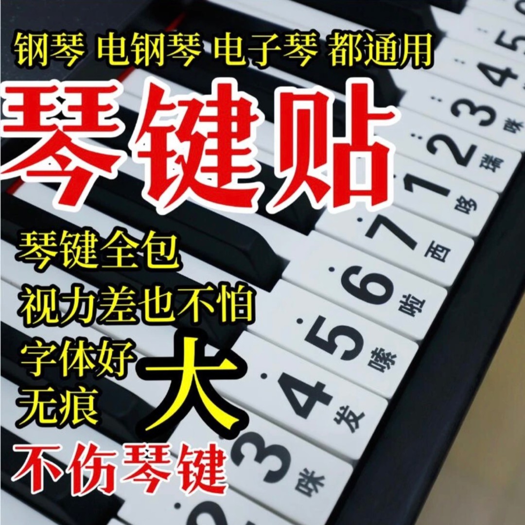 电子琴电钢琴琴键贴（大中小3张）超大方便手卷使用初学者