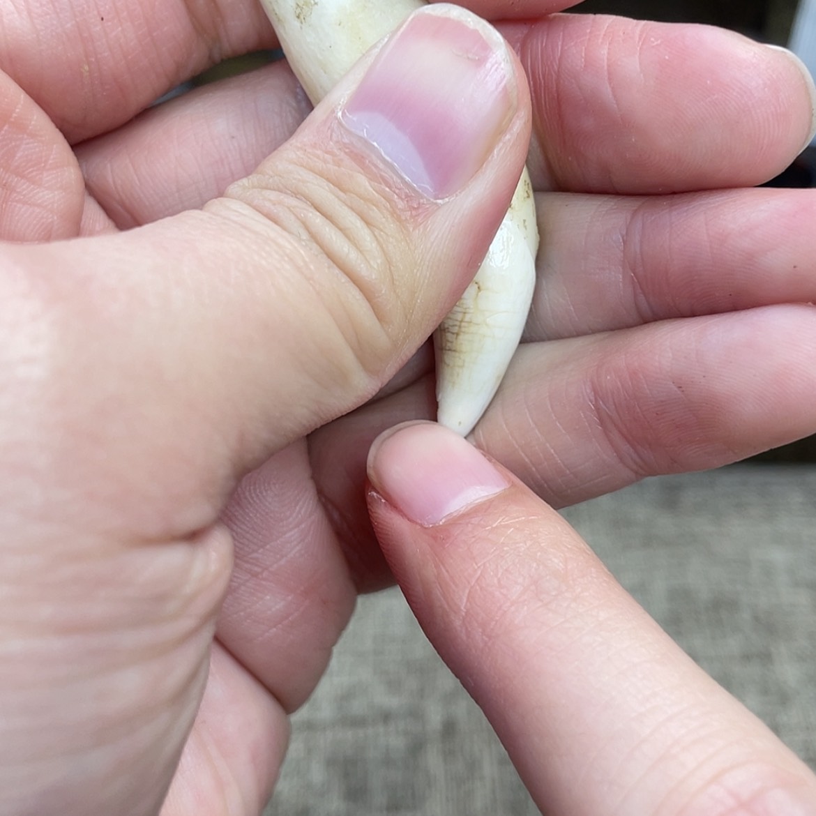 【闪购商品】15根雕