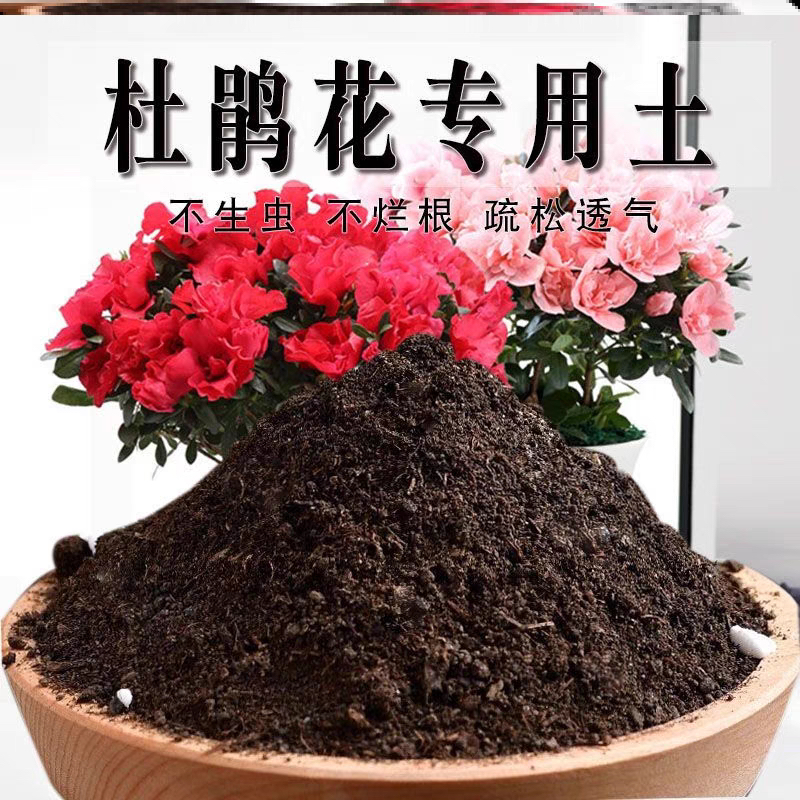 (杜鹃花专用土)腐殖土杜鹃花专用营养土杜鹃土不烂根疏松透气花卉