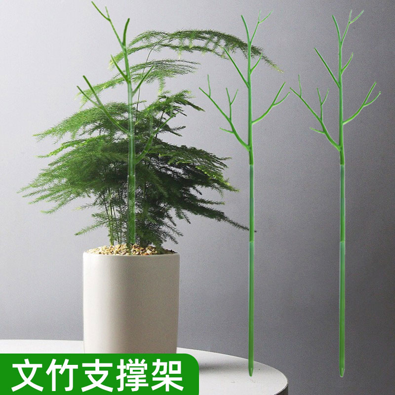 文竹支撑架植物固定防倒伏龟背芋支伸缩杆黄金葛爬藤花架支架园艺