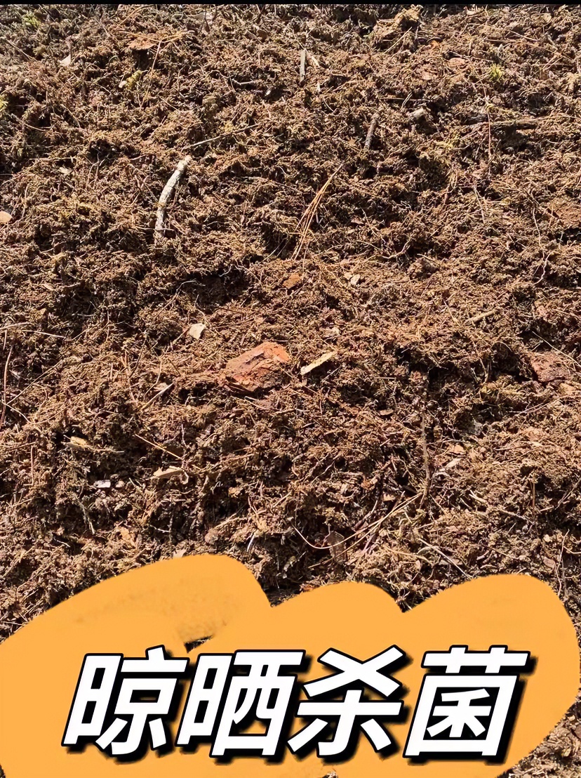 包邮栽培土腐叶土，一公斤