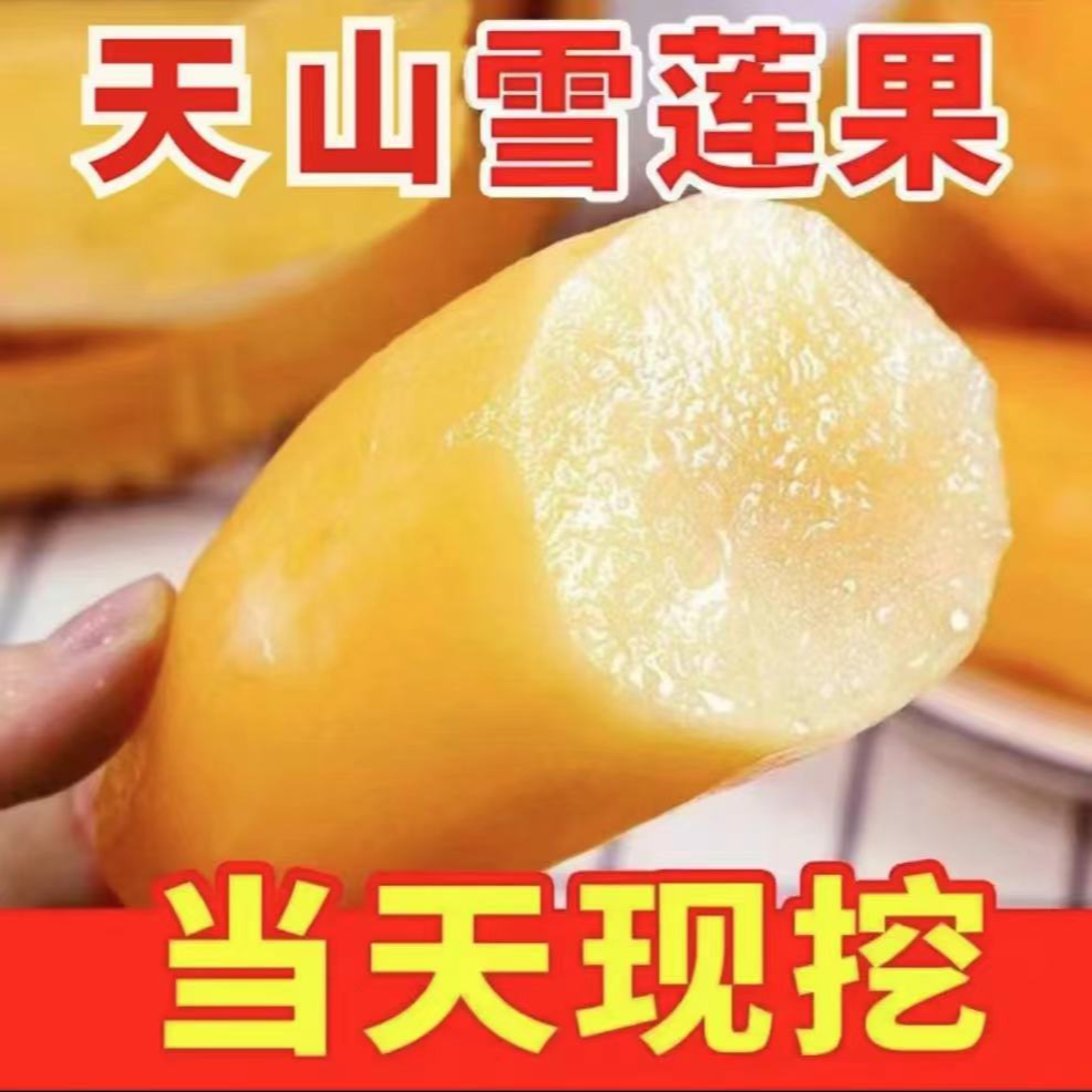 m【特忦】云南正宗高原天山雪莲果爆脆甜新鲜水果当季整箱批发包邮