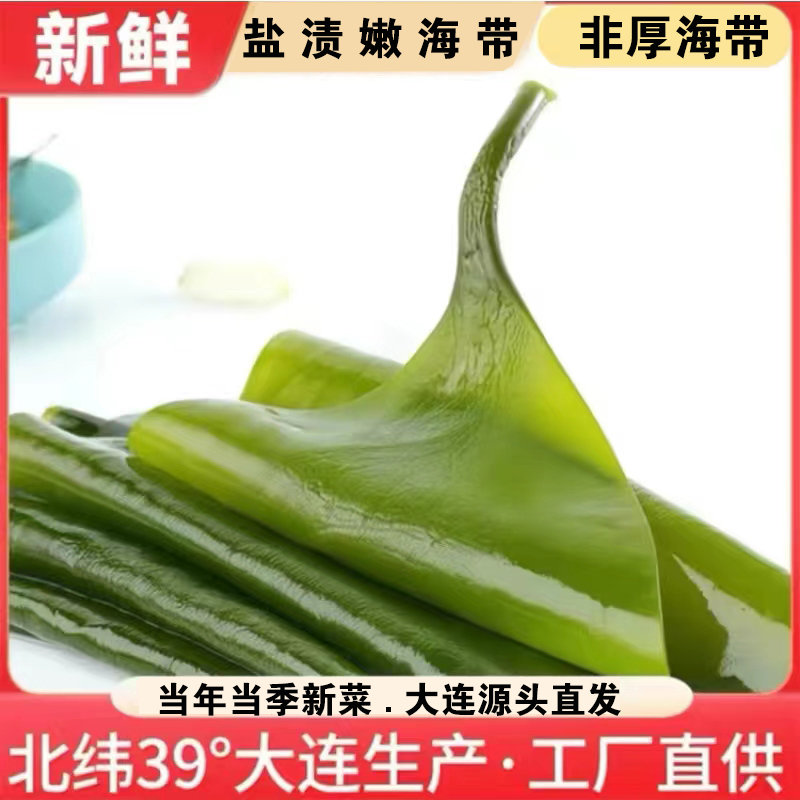 大连新鲜海带盐渍海带非干货5斤/含箱